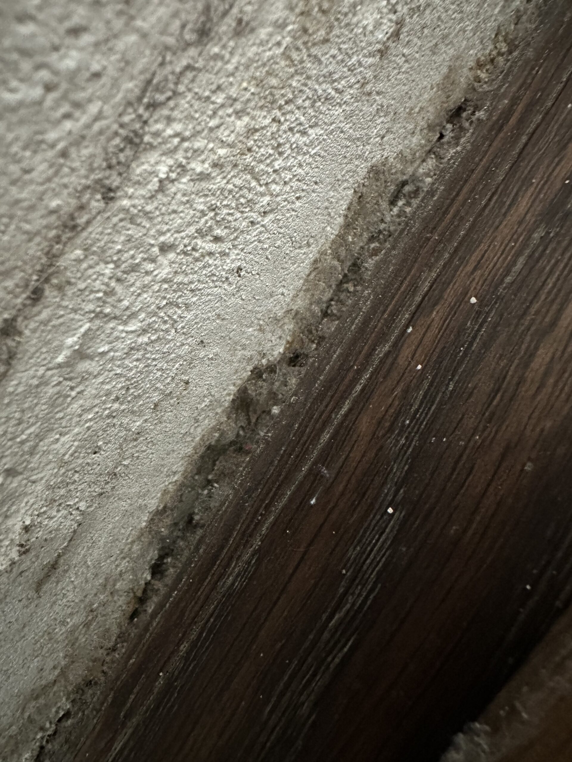 Schimmel Sockelbereich