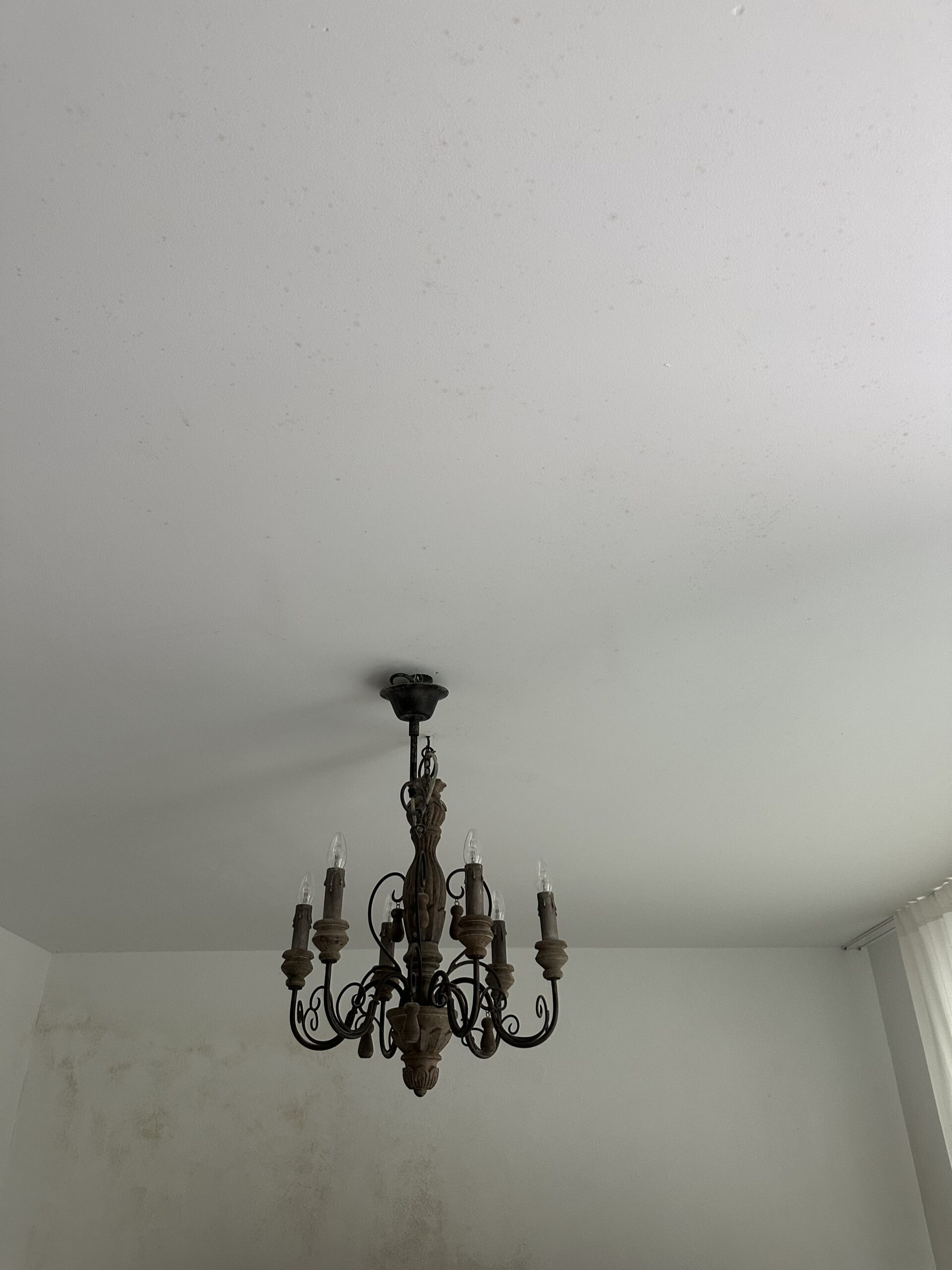 Mikrobiologischer Befall