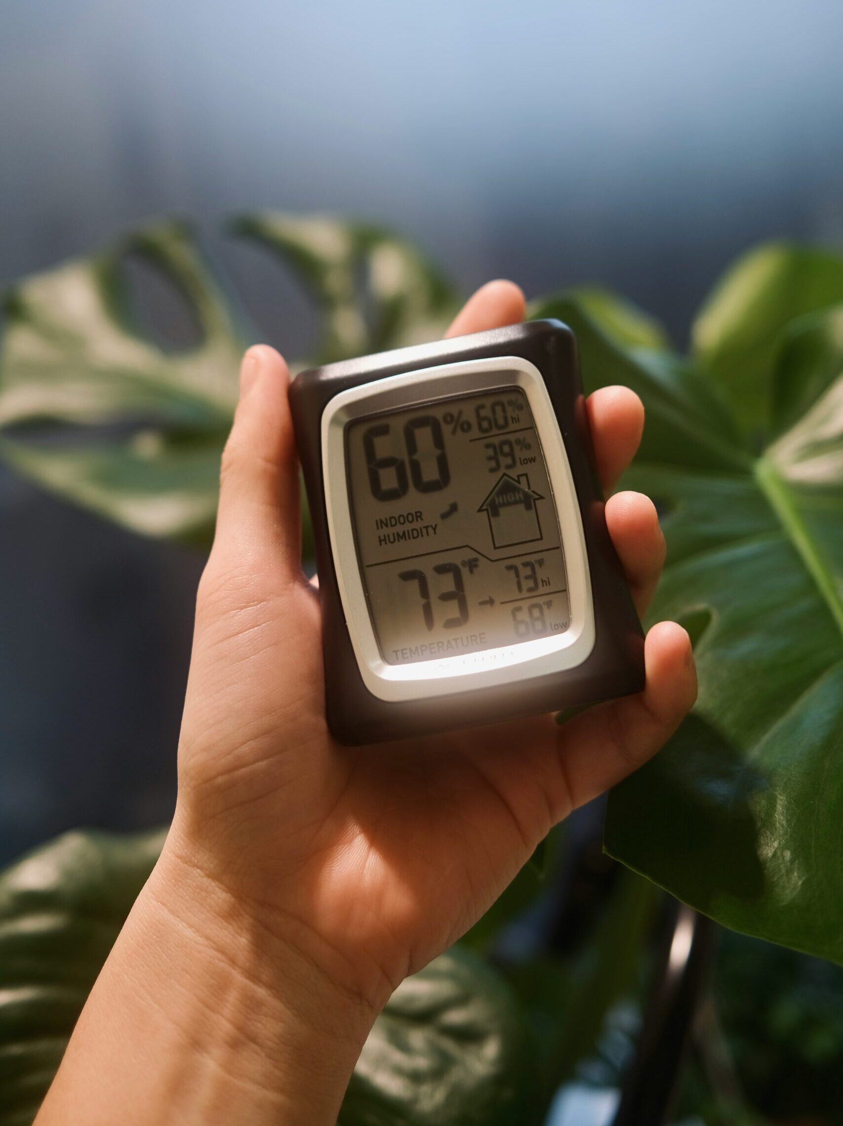 Feuchtigkeit Entfeuchter Schimmel