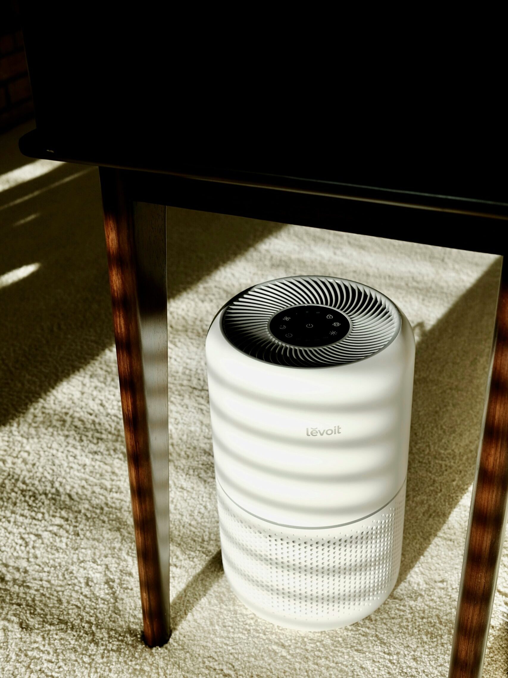 Schimmel Luftreiniger Wohnung