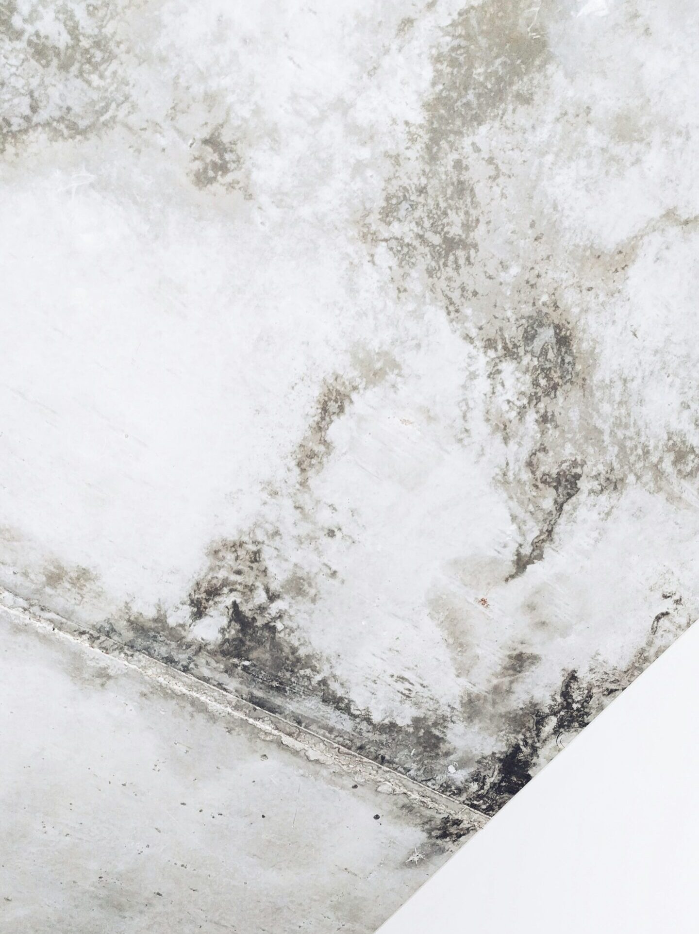 olena-shmahalo-kPK_DjUEJ5U-unsplash