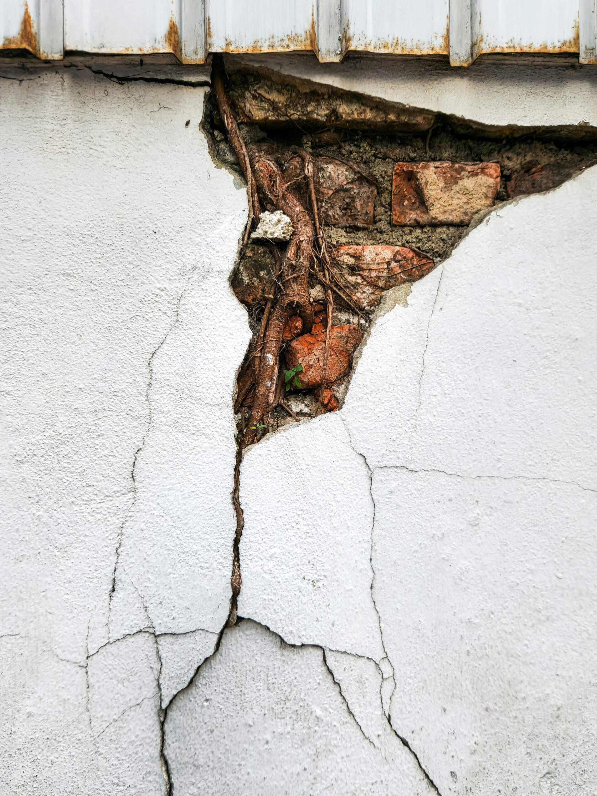 zoshua-colah--IaMr_P5Seo-unsplash